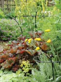 Essex Plant Supports -Garden Care Store 37423 280 tif