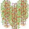Tomato Ladders, Set Of 3 2 Tomato Ladders, Set Of 3 -Garden Care Store 38185 001E psd