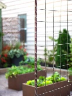 Jardin Rose Arch -Garden Care Store 38690 9948 tif