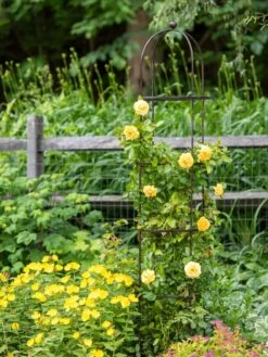 Jardin Round Obelisk, 7' -Garden Care Store 39 530 1668 tif