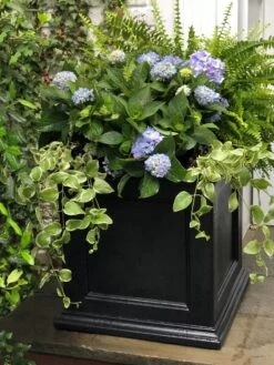 Fairfield Self-Watering Square Planter, 20” X 20” -Garden Care Store 39 618 205V tif