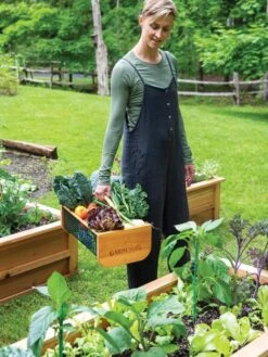 Garden Hods -Garden Care Store 39 761 0146 tif