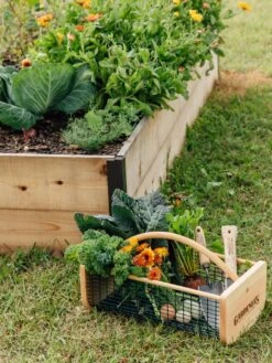 Garden Hods -Garden Care Store 39 761 572 tif