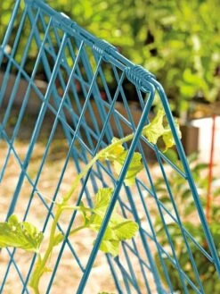 Deluxe Cucumber Trellis -Garden Care Store 39806 BLUE 100 tif