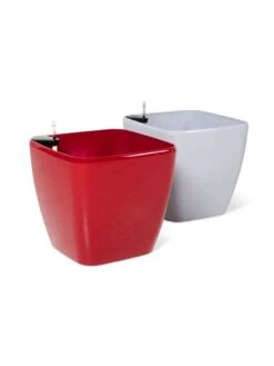 Viva Square Self-Watering Rolling Planter, 20" Diameter, Set Of 2 -Garden Care Store 3 4 crop 8612930 0104