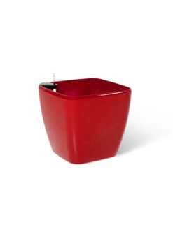 Viva Square Self-Watering Rolling Planter, 20" Diameter, Set Of 2 -Garden Care Store 3 4 crop 8612930 0105