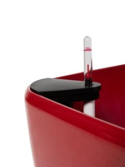 Viva Square Self-Watering Rolling Planter, 20" Diameter, Set Of 2 -Garden Care Store 3 4 crop 8612930 0107