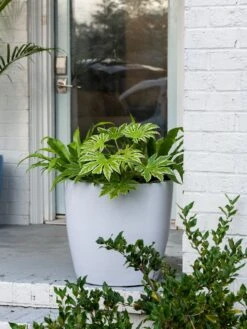 Viva Round Self-Watering Rolling Planter, 20" Diameter, Set Of 2 -Garden Care Store 3 4 crop 8612933 0025 tif