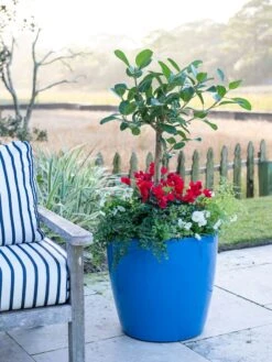 Viva Round Self-Watering Rolling Planter, 20" Diameter, Set Of 2 -Garden Care Store 3 4 crop 8612933 5312 tif