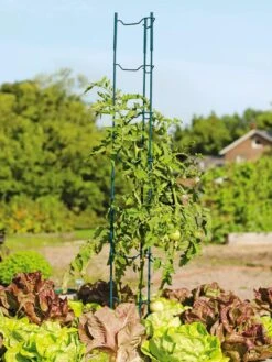 Stacking Tomato Ladders, Set Of 6 9 Stacking Tomato Ladders, Set Of 6 -Garden Care Store 40309 100 tif