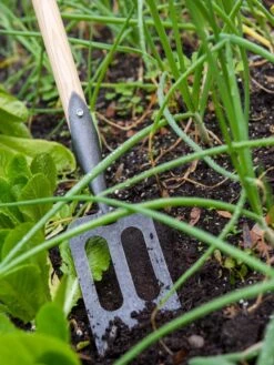 Gardener's Lifetime Spork -Garden Care Store 8586973 2383 tif