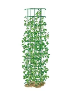 Bean Tower -Garden Care Store 8587060 0008 GRN tif