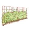 Expandable Pea Trellis -Garden Care Store 8587061 PeaFence Red 001E tif