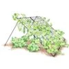Large Cucumber Trellis -Garden Care Store 8587082 CukeTrellis L Blk 001E tif