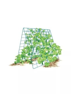 Deluxe Cucumber Trellis -Garden Care Store 8587083 001 BLUE Cukes two sided deluxe cucumber trellis support storm blue 3 4