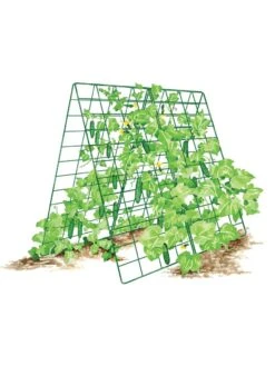 Deluxe Cucumber Trellis -Garden Care Store 8587083 001 GRN tif