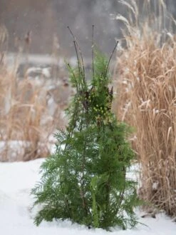 Jardin Pot Trellis -Garden Care Store 8587120 009 tif