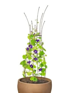 Jardin Pot Trellis -Garden Care Store 8587120 1006 tif
