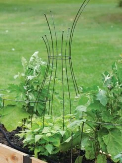 Jardin Pot Trellis -Garden Care Store 8587120 7037 tif