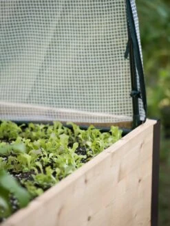 Protection Frame & Covers, 2' X 8' -Garden Care Store 8587631 265 tif