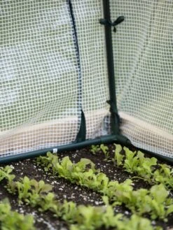 Protection Frame & Covers, 2' X 4' -Garden Care Store 8587631 271 tif 1