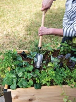 Gardener's Lifetime Raised Bed Trowel 7 Gardener's Lifetime Raised Bed Trowel -Garden Care Store 8588014 4084 tif