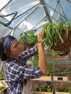 Canopia® By Palram Balance Greenhouse, 8' X 12' 31 Canopia® By Palram Balance Greenhouse, 8' X 12' -Garden Care Store 8588023 07V jpg