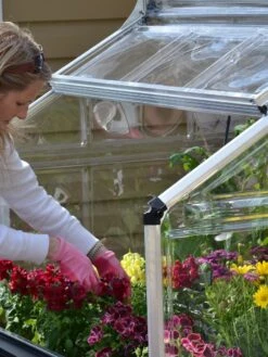 Canopia® By Palram Plant Inn™ Raised Bed Greenhouse, 4' X 4' -Garden Care Store 8588308 04V tif