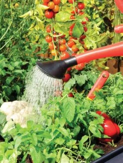 Canopia® By Palram Plant Inn™ Raised Bed Greenhouse, 4' X 4' -Garden Care Store 8588308 06V tif