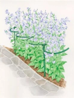 Tidy Path Supports -Garden Care Store 8588403 003 1