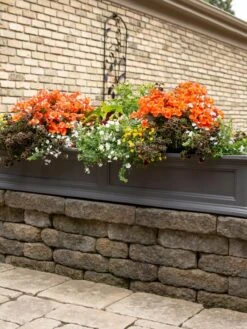 Fairfield Self-Watering Window Box, 5’ -Garden Care Store 8588938 105V tif