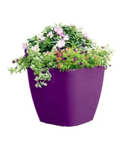 Viva Square Self-Watering Rolling Planter, 17.5" Diameter -Garden Care Store 8589778PR 6126 tif