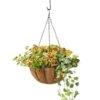 AquaSav™ Oxford Hanging Basket, 14" -Garden Care Store 8589789 028 tif