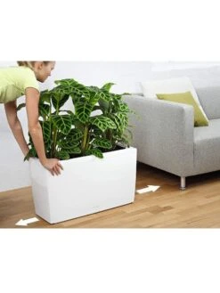 Lechuza® Cararo Rectangular Indoor Planter With Casters -Garden Care Store 8590295 03v