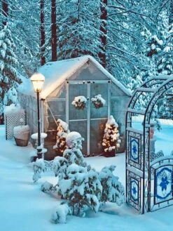 Canopia® By Palram Harmony™ Snap & Grow Greenhouse, 8' 37 Canopia® By Palram Harmony™ Snap & Grow Greenhouse, 8' -Garden Care Store 8591048 06V jpg