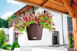 Garden Care Store 19 Lechuza® Nido Cottage Wicker Hanging Planter