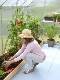 Canopia® By Palram Essence™ Greenhouse, 8' X 12' -Garden Care Store 8591356 04V tif