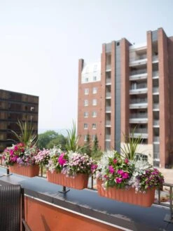 Adjustable Self-Watering Railing Planter, 24" 12 Adjustable Self-Watering Railing Planter, 24" -Garden Care Store 8592173TC 2383 tif