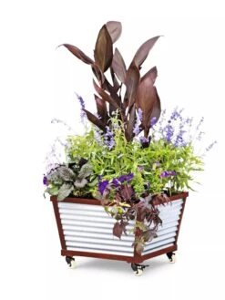 Galvanized Self-Watering Planters -Garden Care Store 8592176 5067 tif