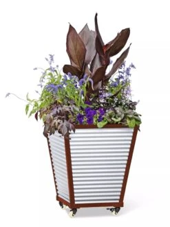 Galvanized Self-Watering Planters -Garden Care Store 8592177 5066 tif