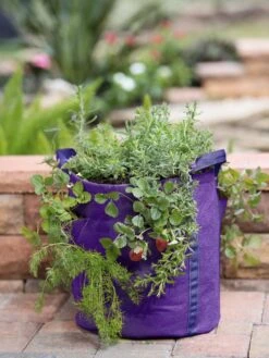 Gardener’s Best® Strawberry And Herb Grow Bag
