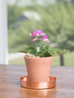 Extra Small Round Copper Plant Tray, 8" -Garden Care Store 8593528 4522 tif