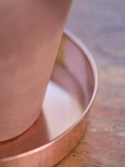 Extra Small Round Copper Plant Tray, 8" -Garden Care Store 8593528 4529 tif