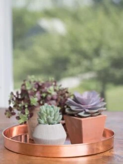 Large Round Copper Plant Tray, 14" -Garden Care Store 8593531 4518 tif