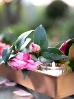 Rectangular Copper Plant Tray, 18"x4" -Garden Care Store 8593532 02IN tif