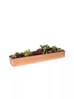 Rectangular Copper Plant Tray, 18"x4" -Garden Care Store 8593532 2892 tif