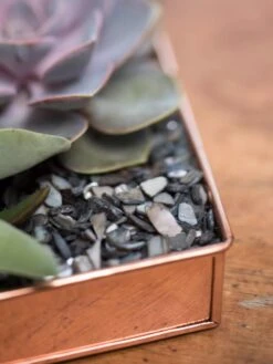 Rectangular Copper Plant Tray, 24" X 5" -Garden Care Store 8593533 4570 tif