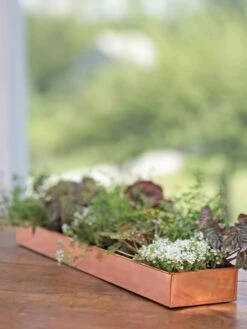Rectangular Copper Plant Tray, 24" X 5" -Garden Care Store 8593533 4626 tif