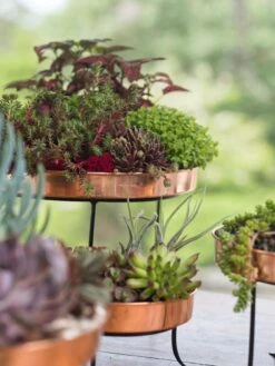 Small Round Copper Plant Tray, 10" 8 Small Round Copper Plant Tray, 10" -Garden Care Store 8593564 4399 tif