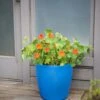 Viva Round Self-Watering Rolling Planter, 17.25” Diameter -Garden Care Store 8594077 0087 tif